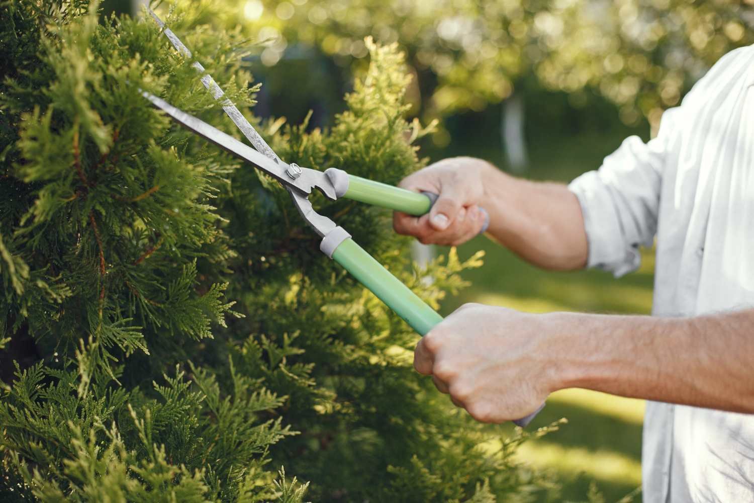 Entretien Espaces Verts